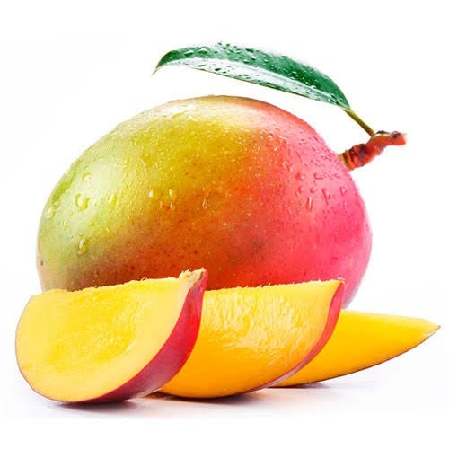 mango fidanı satın al